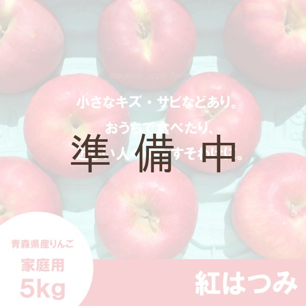 画像2: 紅はつみ　家庭用　５kg（約12-20個）≪送料込≫ (2)