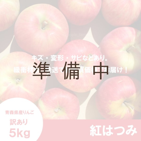 画像2: 紅はつみ　訳あり　５kg（約20個程度）≪送料込≫ (2)