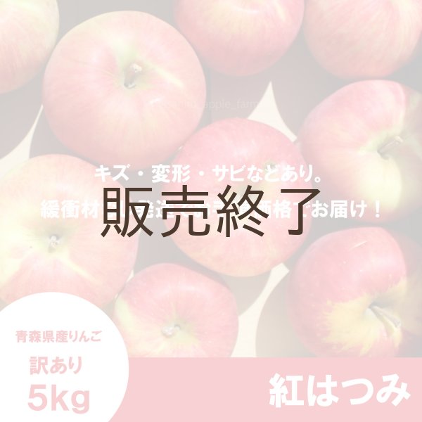 画像2: 紅はつみ　訳あり　５kg（約20個程度）≪送料込≫ (2)