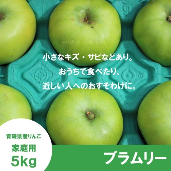 画像2: 【調理向き】 ブラムリー　５kg（約10個）≪送料込≫ (2)
