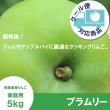 画像1: 【調理向き】 ブラムリー　家庭用　５kg（約10個）≪送料込≫ (1)