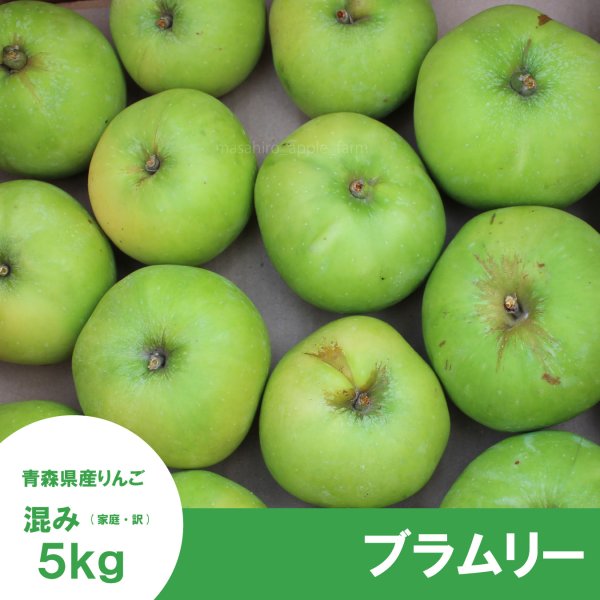 画像2: 【調理向き】 ブラムリー　５kg（約16~20個）≪送料込≫ (2)