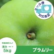 画像1: 【調理向き】 ブラムリー　５kg（約16~20個）≪送料込≫ (1)
