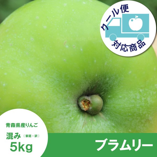 画像1: 【調理向き】 ブラムリー　５kg（約16~20個）≪送料込≫ (1)
