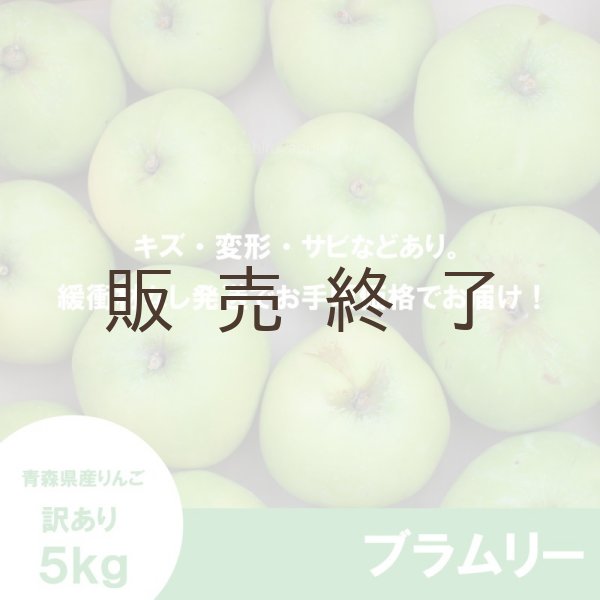 画像2: 【調理向き】 ブラムリー　訳あり　５kg（約13〜18個）≪送料込≫ (2)