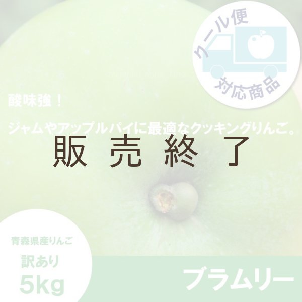 画像1: 【調理向き】 ブラムリー　訳あり　５kg（約13〜18個）≪送料込≫ (1)