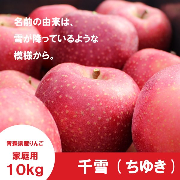 画像1: 千雪　家庭用　１０kg（約28-40個）≪送料込≫ (1)