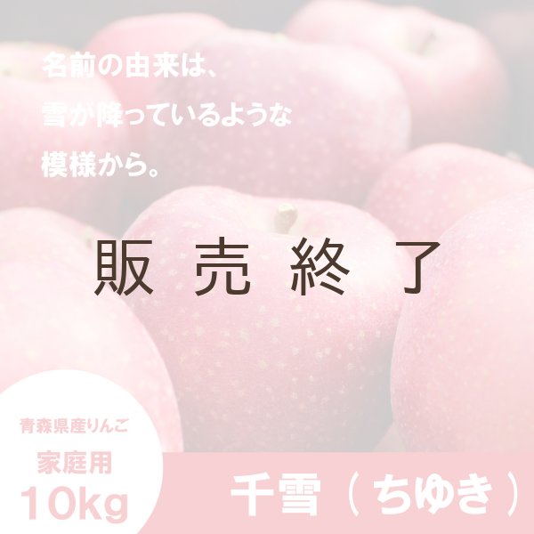 画像1: 千雪　家庭用　１０kg（約28-40個）≪送料込≫ (1)