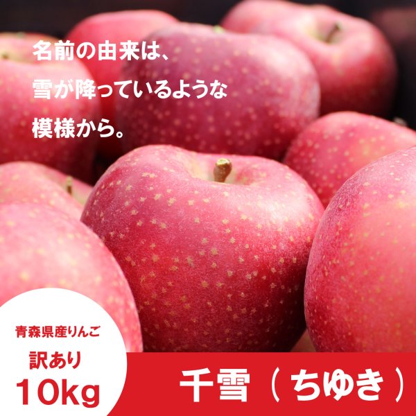 画像1: 千雪　訳あり　１０kg（約40個前後）≪送料込≫ (1)