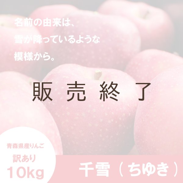 画像1: 千雪　訳あり　１０kg（約40個前後）≪送料込≫ (1)