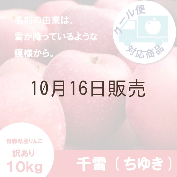 画像1: ※10月中旬〜下旬発送※ 千雪　訳あり　１０kg（約40個前後）≪送料込≫ (1)