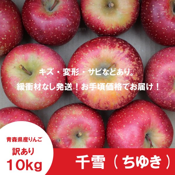 画像2: 千雪　訳あり　１０kg（約40個前後）≪送料込≫ (2)