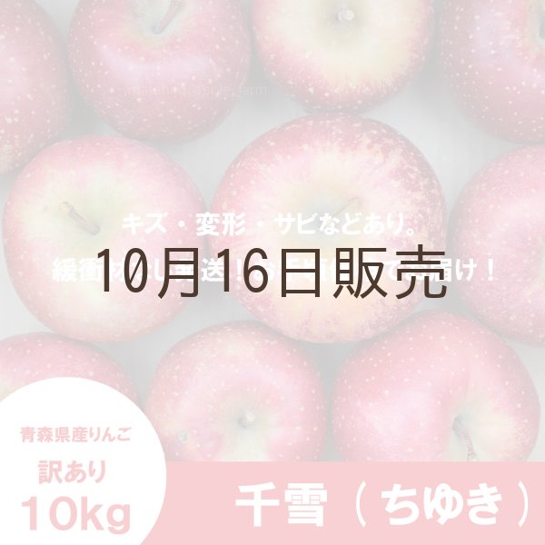 画像2: ※10月中旬〜下旬発送※ 千雪　訳あり　１０kg（約40個前後）≪送料込≫ (2)