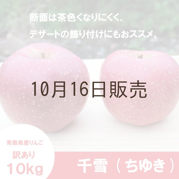 画像3: ※10月中旬〜下旬発送※ 千雪　訳あり　１０kg（約40個前後）≪送料込≫ (3)