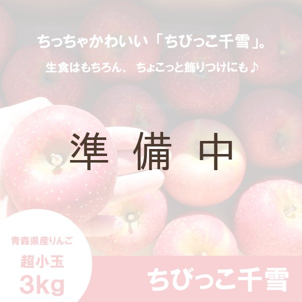 画像1: ちびっこ千雪　家庭用（小玉）３kg ≪送料込≫ (1)