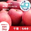 画像1: ※10月中旬〜下旬発送※ 千雪　家庭用　３kg（約9-12個）≪送料込≫ (1)