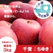 画像1: 千雪　贈答用　３kg ≪送料込≫ (1)