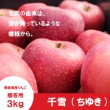 千雪/青森りんご｜まさひろ林檎園