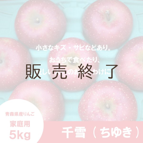 画像2: 千雪　家庭用　５kg（約14-20個）≪送料込≫ (2)