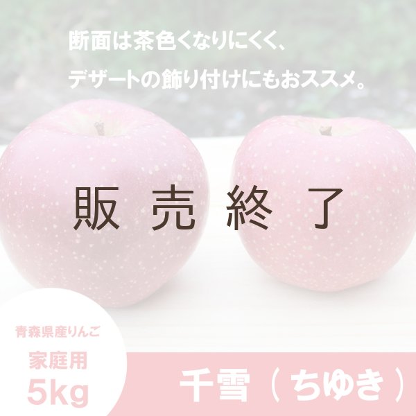 画像3: 千雪　家庭用　５kg（約14-20個）≪送料込≫ (3)