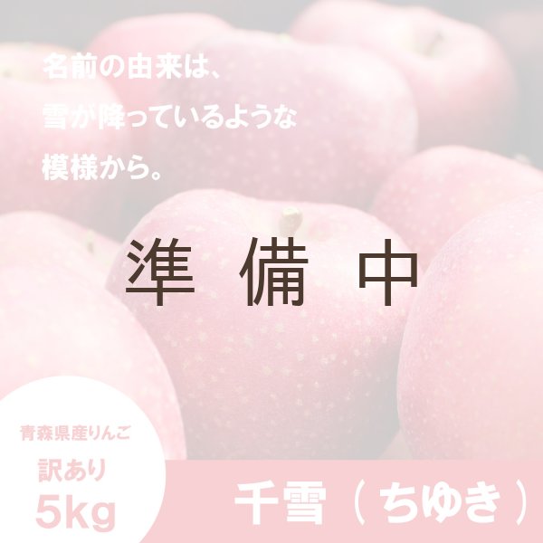 画像1: 千雪　訳あり　５kg（約19-21個）≪送料込≫ (1)