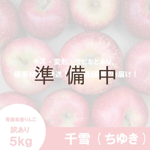 画像2: 千雪　訳あり　５kg（約19-21個）≪送料込≫ (2)