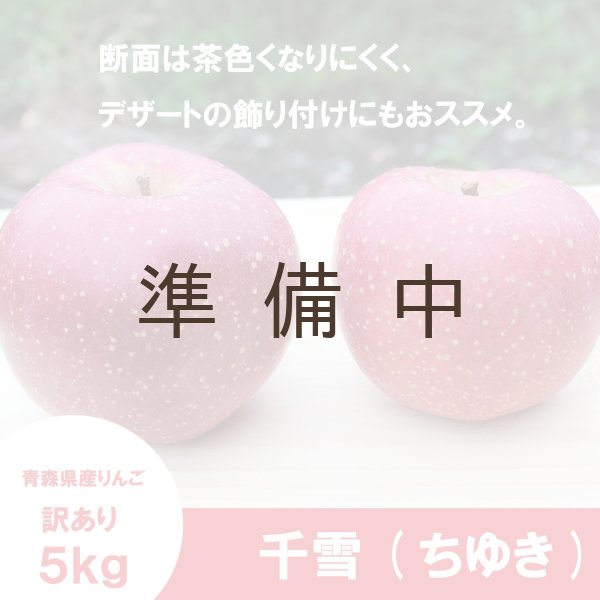 画像3: 千雪　訳あり　５kg（約19-21個）≪送料込≫ (3)