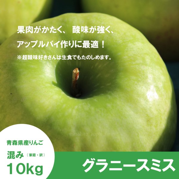 画像1: 【調理向き】グラニースミス　１０kg ≪送料込≫ (1)