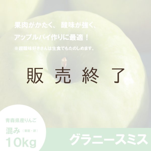 画像1: 【調理向き】グラニースミス　１０kg ≪送料込≫ (1)