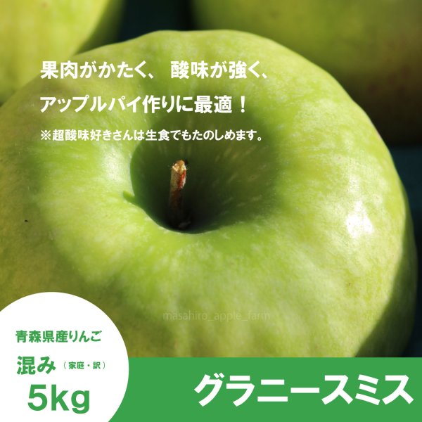 画像1: 【調理向き】グラニースミス　５kg ≪送料込≫ (1)