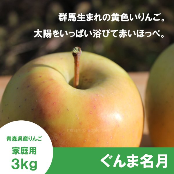 画像1: ぐんま名月　家庭用　３kg（約8-11個）≪送料込≫ (1)