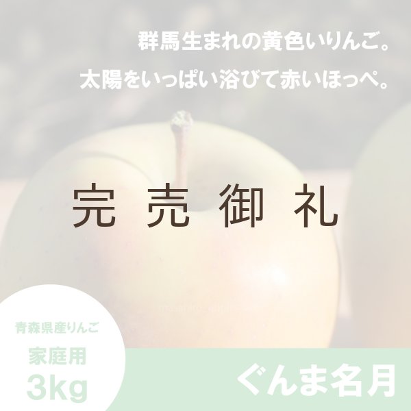 画像1: ※11月上旬発送※ ぐんま名月　家庭用　３kg（約8-11個）≪送料込≫ (1)