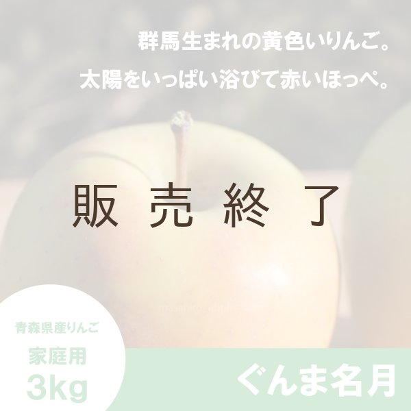 画像1: ぐんま名月　家庭用　３kg（約8-11個）≪送料込≫ (1)
