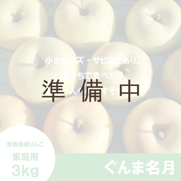 画像2: ぐんま名月　家庭用　３kg（約8-11個）≪送料込≫ (2)