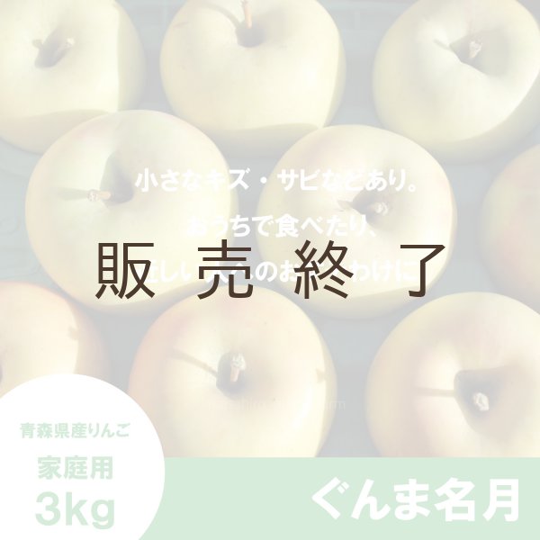 画像2: ぐんま名月　家庭用　３kg（約8-11個）≪送料込≫ (2)