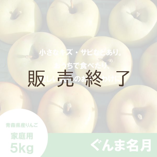画像2: ぐんま名月　家庭用　５kg（約12-20個）≪送料込≫ (2)