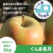 画像1: ぐんま名月　訳あり　５kg（約20個程度）≪送料込≫ (1)