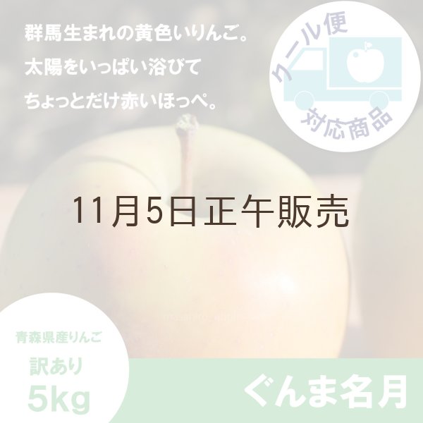 画像1: ぐんま名月　訳あり　５kg（約20個程度）≪送料込≫ (1)