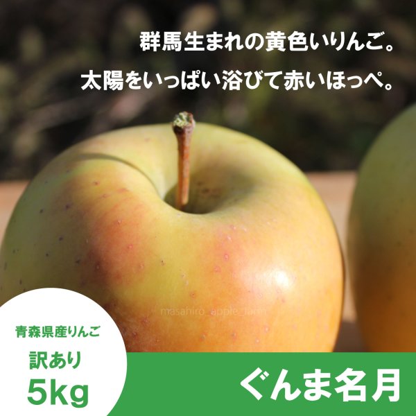 画像1: ぐんま名月　訳あり　５kg（約20個程度）≪送料込≫ (1)