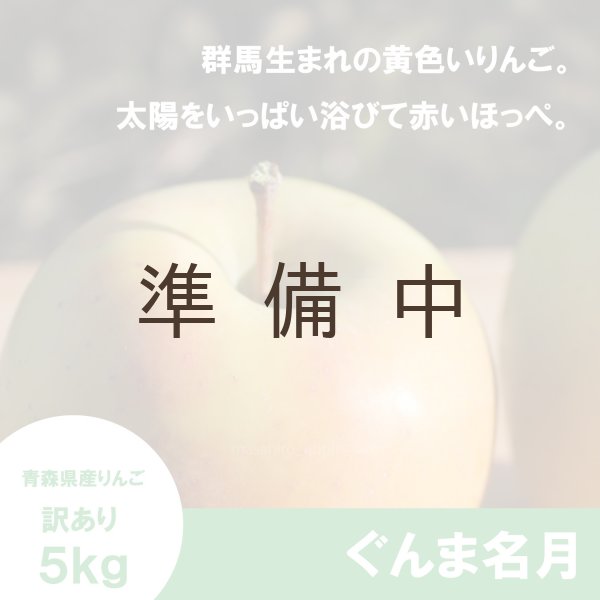 画像1: ぐんま名月　訳あり　５kg（約20個程度）≪送料込≫ (1)