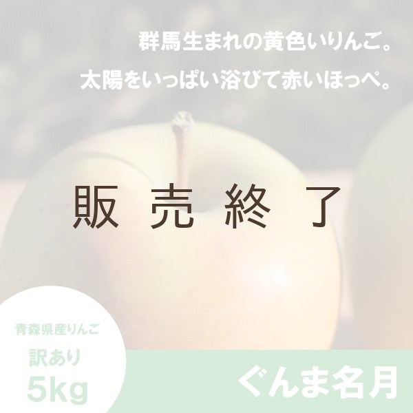 画像1: ぐんま名月　訳あり　５kg（約20個程度）≪送料込≫ (1)