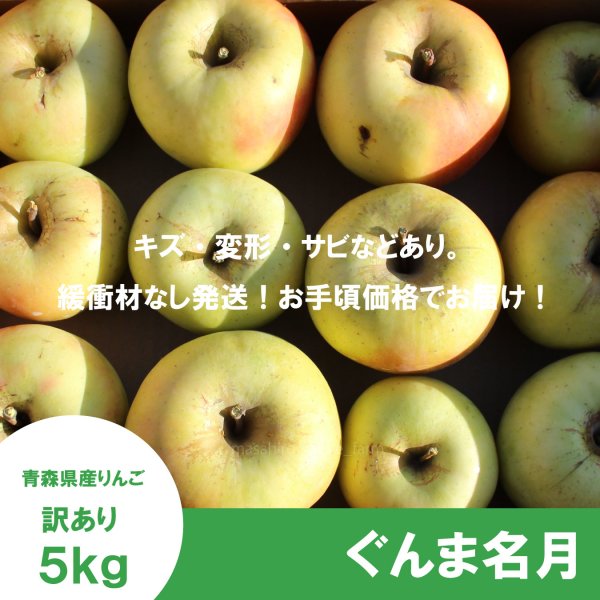 画像2: ぐんま名月　訳あり　５kg（約20個程度）≪送料込≫ (2)