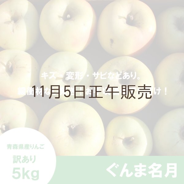 画像2: ぐんま名月　訳あり　５kg（約20個程度）≪送料込≫ (2)