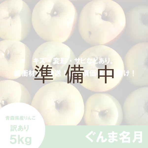画像2: ぐんま名月　訳あり　５kg（約20個程度）≪送料込≫ (2)