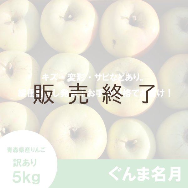 画像2: ぐんま名月　訳あり　５kg（約20個程度）≪送料込≫ (2)
