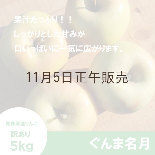 画像3: ぐんま名月　訳あり　５kg（約20個程度）≪送料込≫ (3)