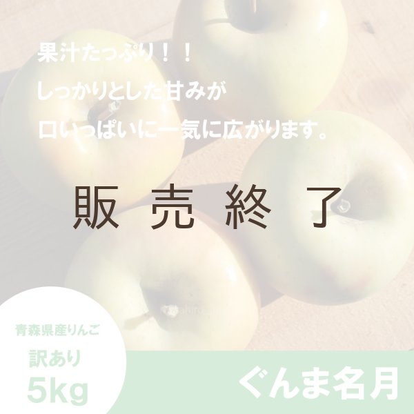 画像3: ぐんま名月　訳あり　５kg（約20個程度）≪送料込≫ (3)
