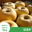 画像1: ★一玉約200g★ちびっこはるか　家庭用　 ３kg（約13-14個）≪送料込≫ (1)