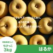 画像2: ★一玉約200g★ちびっこはるか　家庭用　 ３kg（約13-14個）≪送料込≫ (2)