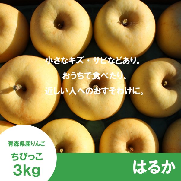 画像2: ★一玉約200g★ちびっこはるか　家庭用　 ３kg（約13-14個）≪送料込≫ (2)